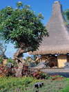 The Oberoi 